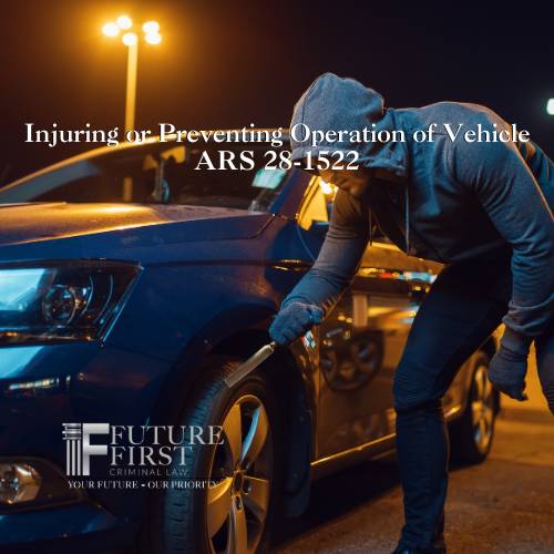 Car Detailing Laws in Arizona: Essential Rules Every Detailer Must Know